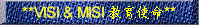 bvisi.gif (4048 bytes)